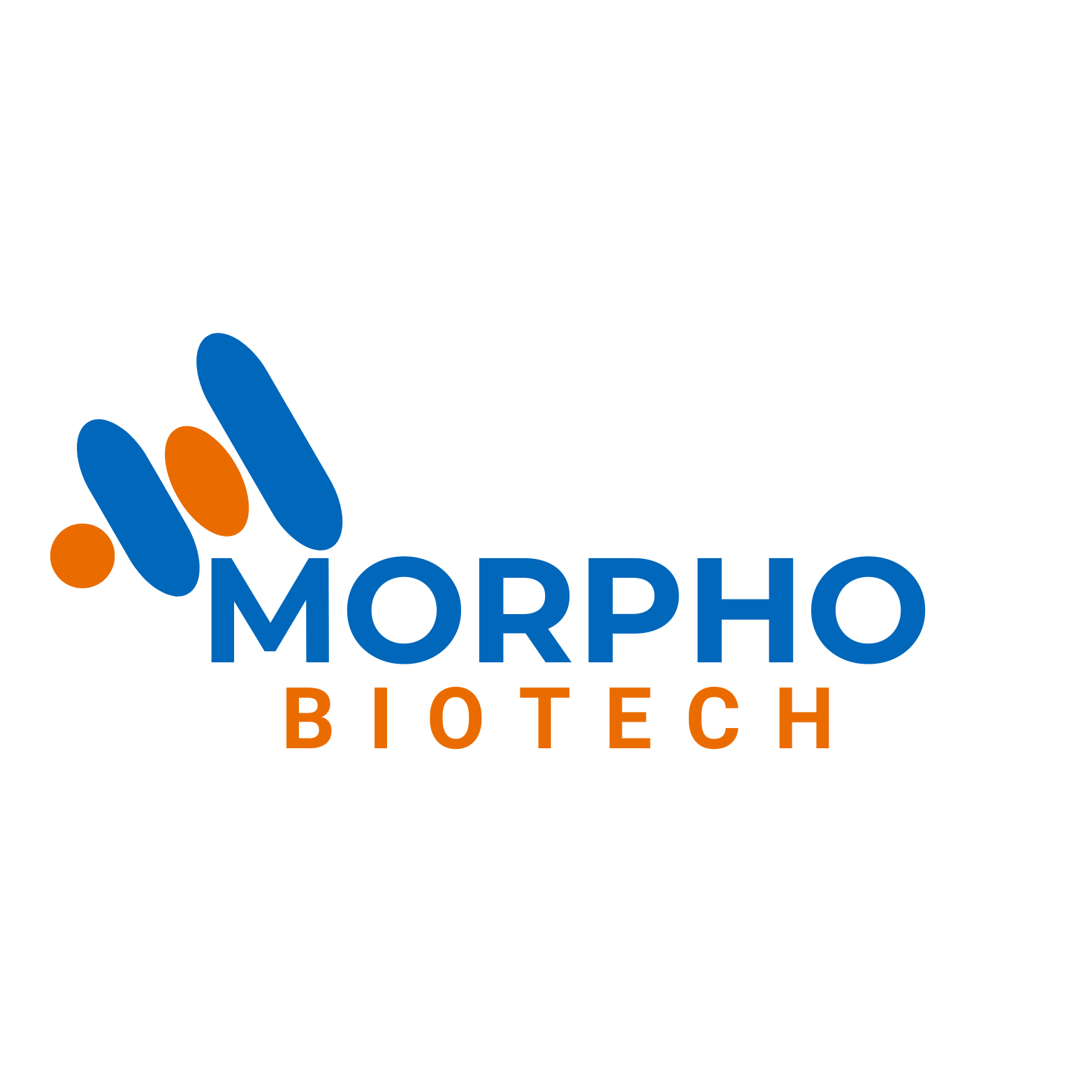 Morpho Logo